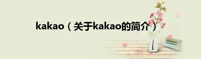 kakao（關于kakao的簡介）