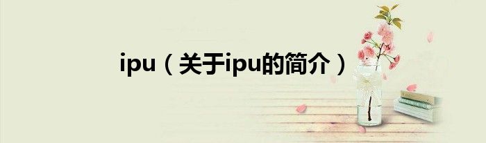 ipu（關于ipu的簡介）