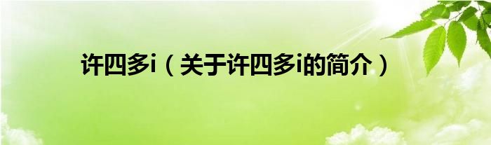 許四多i（關(guān)于許四多i的簡介）