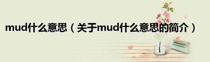 mud什么意思（關(guān)于mud什么意思的簡(jiǎn)介）