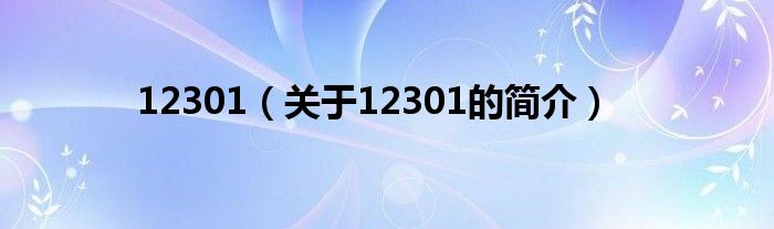 12301（關(guān)于12301的簡介）