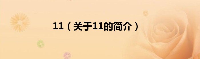 11（關(guān)于11的簡(jiǎn)介）