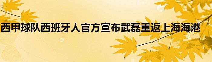 西甲球隊(duì)西班牙人官方宣布武磊重返上海海港