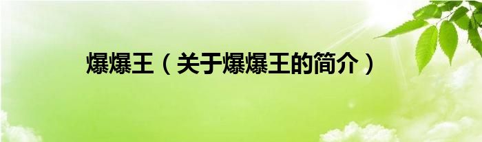 爆爆王（關(guān)于爆爆王的簡(jiǎn)介）