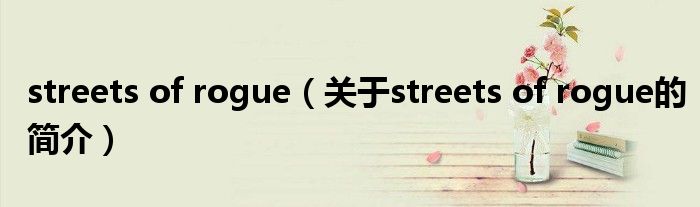 streets of rogue（關于streets of rogue的簡介）