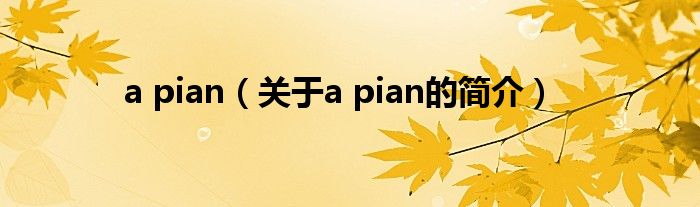 a pian（關(guān)于a pian的簡(jiǎn)介）