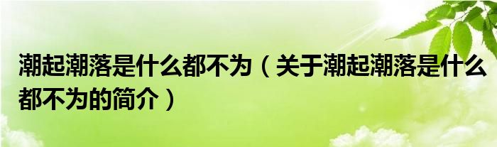 潮起潮落是什么都不為（關(guān)于潮起潮落是什么都不為的簡介）