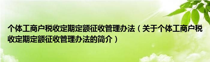 個(gè)體工商戶稅收定期定額征收管理辦法（關(guān)于個(gè)體工商戶稅收定期定額征收管理辦法的簡介）