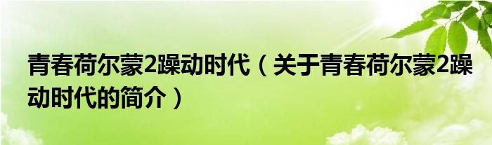 青春荷爾蒙2躁動時代（關于青春荷爾蒙2躁動時代的簡介）