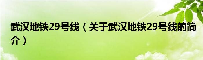 武漢地鐵29號(hào)線（關(guān)于武漢地鐵29號(hào)線的簡(jiǎn)介）