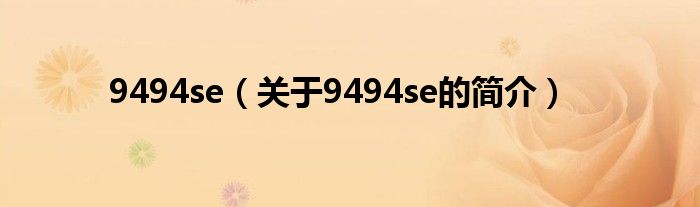 9494se（關(guān)于9494se的簡(jiǎn)介）