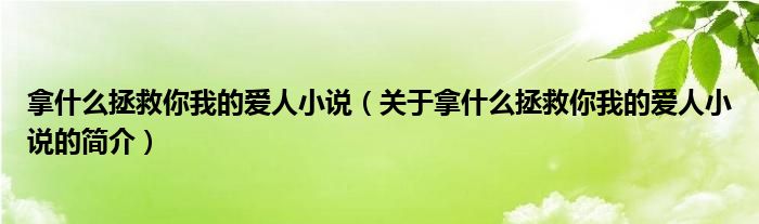 拿什么拯救你我的愛人小說（關(guān)于拿什么拯救你我的愛人小說的簡介）