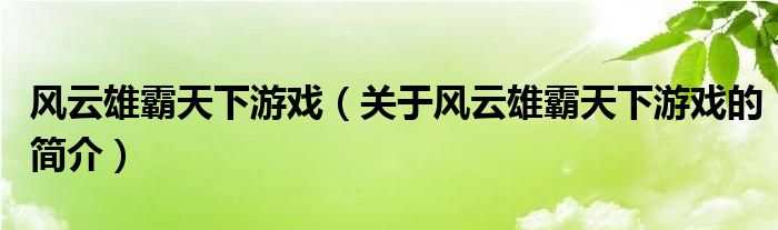 風云雄霸天下游戲（關于風云雄霸天下游戲的簡介）