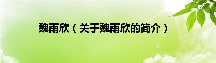 魏雨欣（關(guān)于魏雨欣的簡(jiǎn)介）