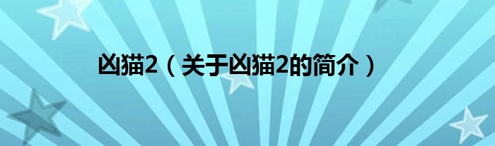 兇貓2（關(guān)于兇貓2的簡介）