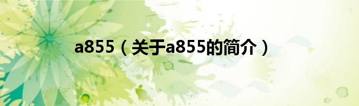 a855（關(guān)于a855的簡介）