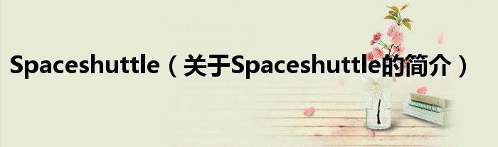 Spaceshuttle（關(guān)于Spaceshuttle的簡介）