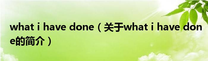 what i have done（關(guān)于what i have done的簡介）