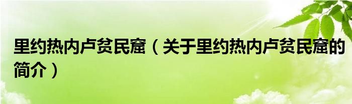 里約熱內盧貧民窟（關于里約熱內盧貧民窟的簡介）