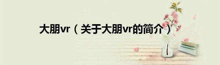 大朋vr（關(guān)于大朋vr的簡介）