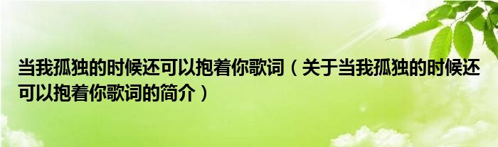 當我孤獨的時候還可以抱著你歌詞（關于當我孤獨的時候還可以抱著你歌詞的簡介）