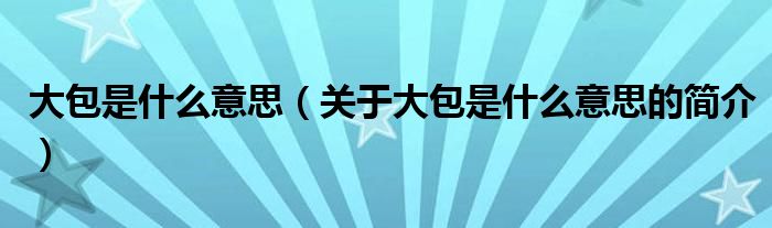 大包是什么意思（關(guān)于大包是什么意思的簡(jiǎn)介）