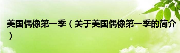 美國(guó)偶像第一季（關(guān)于美國(guó)偶像第一季的簡(jiǎn)介）