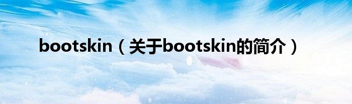 bootskin（關(guān)于bootskin的簡介）