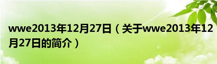 wwe2013年12月27日（關于wwe2013年12月27日的簡介）