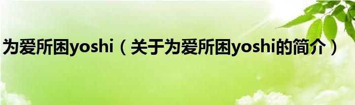 為愛所困yoshi（關(guān)于為愛所困yoshi的簡介）