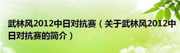 武林風2012中日對抗賽（關(guān)于武林風2012中日對抗賽的簡介）