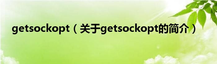 getsockopt（關(guān)于getsockopt的簡介）