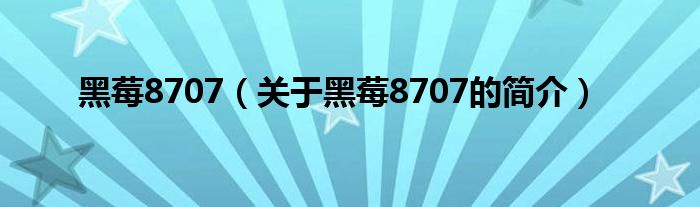 黑莓8707（關(guān)于黑莓8707的簡(jiǎn)介）