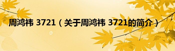 周鴻祎 3721（關于周鴻祎 3721的簡介）