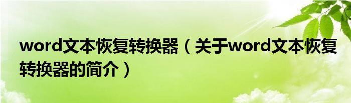 word文本恢復(fù)轉(zhuǎn)換器（關(guān)于word文本恢復(fù)轉(zhuǎn)換器的簡介）