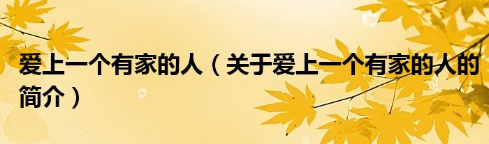 愛(ài)上一個(gè)有家的人（關(guān)于愛(ài)上一個(gè)有家的人的簡(jiǎn)介）