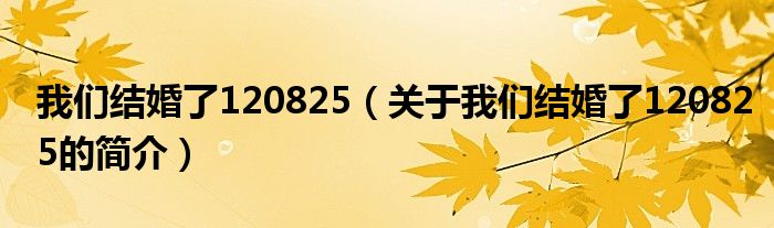 我們結(jié)婚了120825（關(guān)于我們結(jié)婚了120825的簡(jiǎn)介）