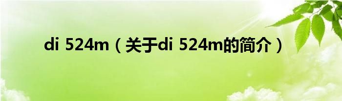 di 524m（關(guān)于di 524m的簡介）