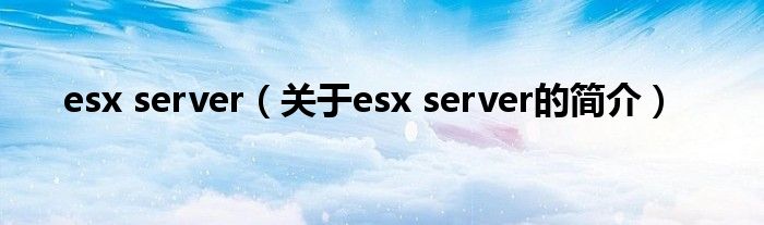 esx server（關(guān)于esx server的簡(jiǎn)介）