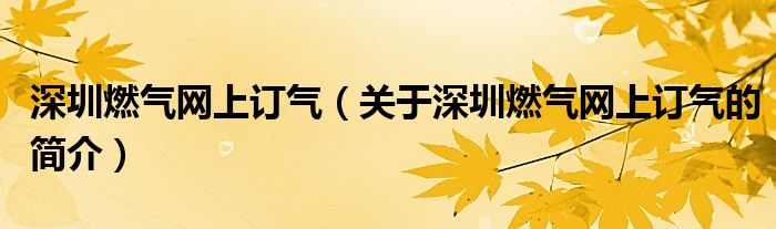 深圳燃氣網(wǎng)上訂氣（關于深圳燃氣網(wǎng)上訂氣的簡介）