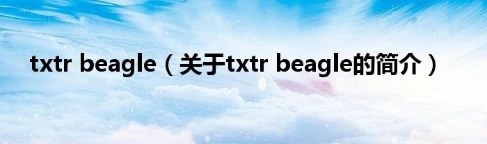 txtr beagle（關(guān)于txtr beagle的簡(jiǎn)介）