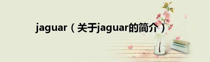 jaguar（關(guān)于jaguar的簡(jiǎn)介）