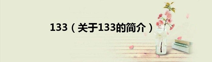 133（關(guān)于133的簡介）