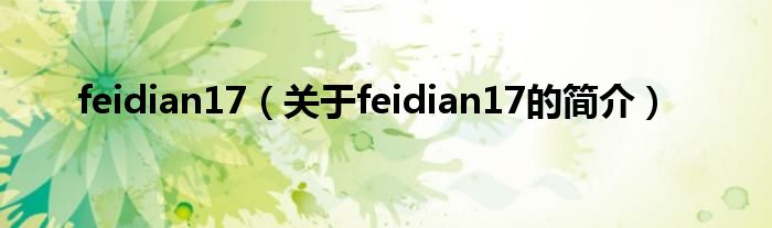 feidian17（關(guān)于feidian17的簡(jiǎn)介）