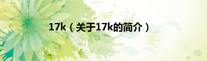 17k（關(guān)于17k的簡介）