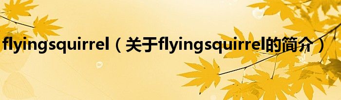 flyingsquirrel（關(guān)于flyingsquirrel的簡介）