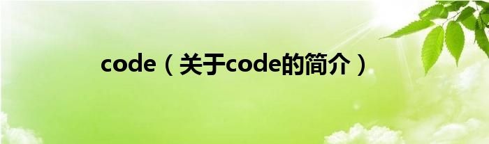 code（關(guān)于code的簡(jiǎn)介）