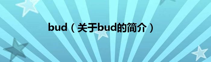 bud（關(guān)于bud的簡(jiǎn)介）