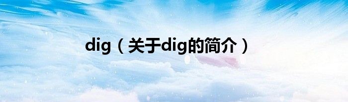 dig（關(guān)于dig的簡(jiǎn)介）