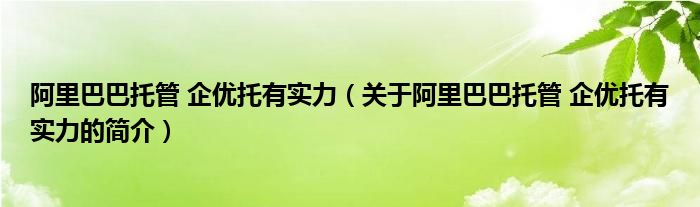 阿里巴巴托管 企優(yōu)托有實力（關(guān)于阿里巴巴托管 企優(yōu)托有實力的簡介）